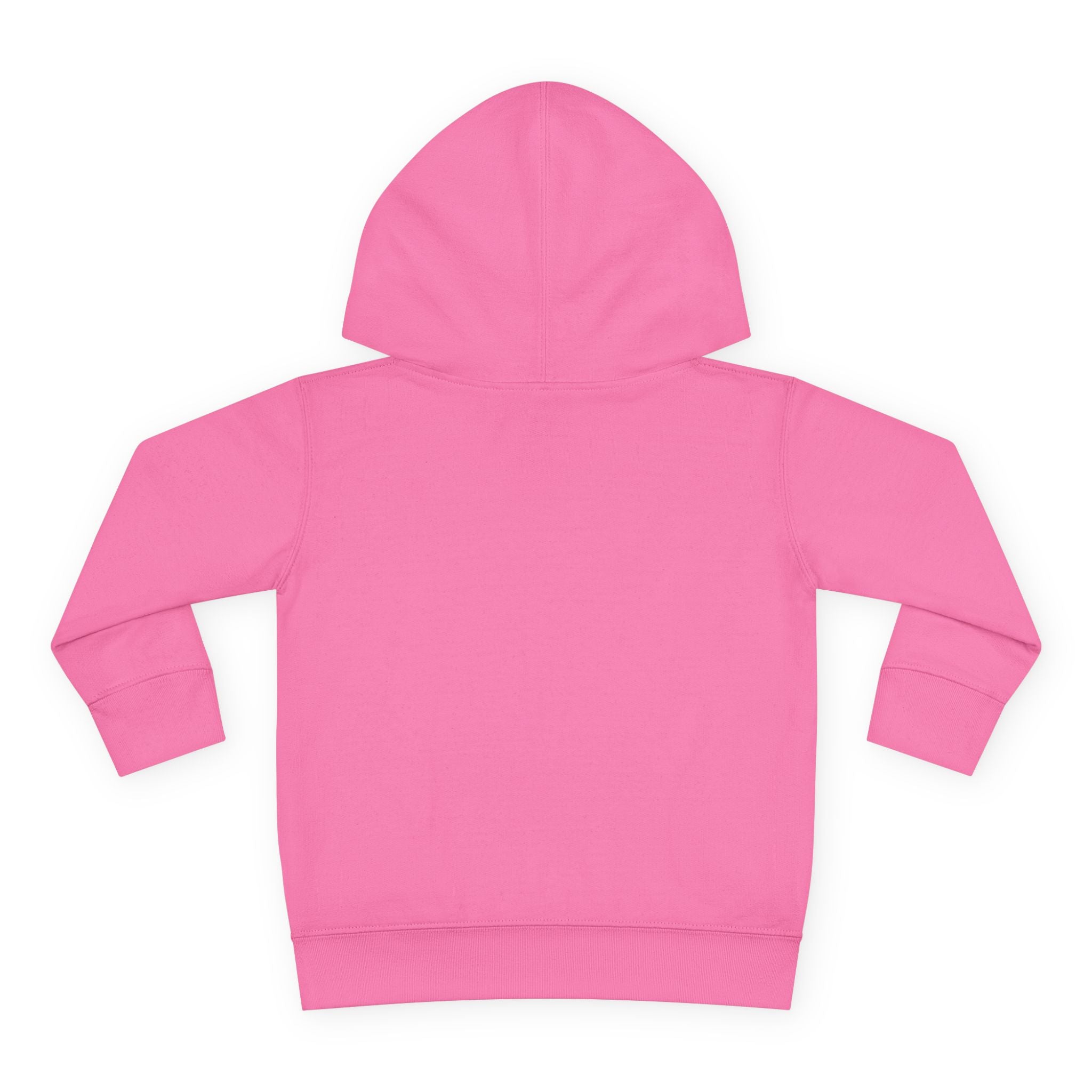 Toddler Hoodie — "Future World Changer" Lion Pullover