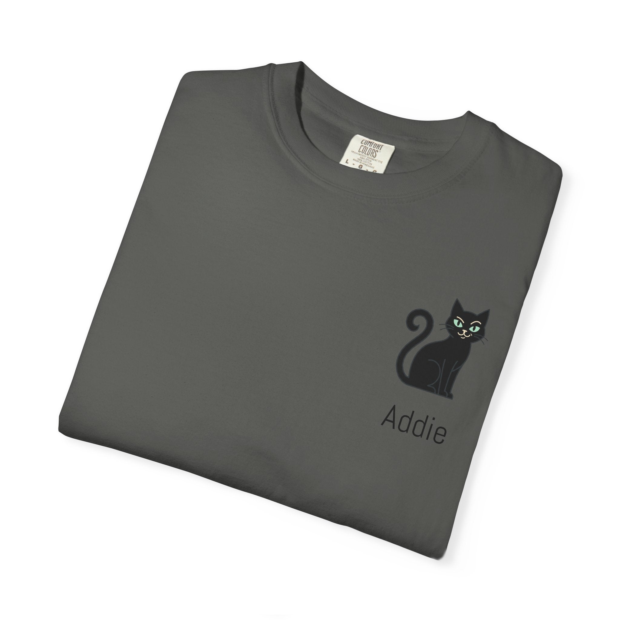 Cat Lover Personalized Graphic T-Shirt — “I’m Not Arguing, I’m Just Explaining Why I’m Right” Cat Design