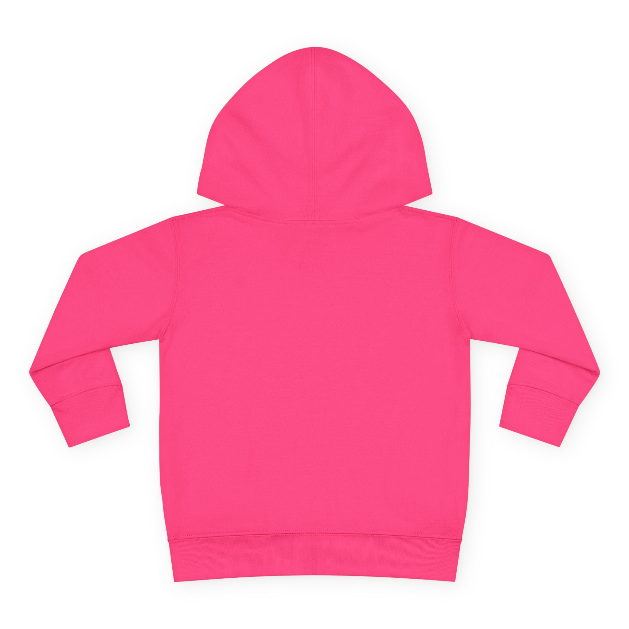 Toddler Hoodie — "Future World Changer" Lion Pullover