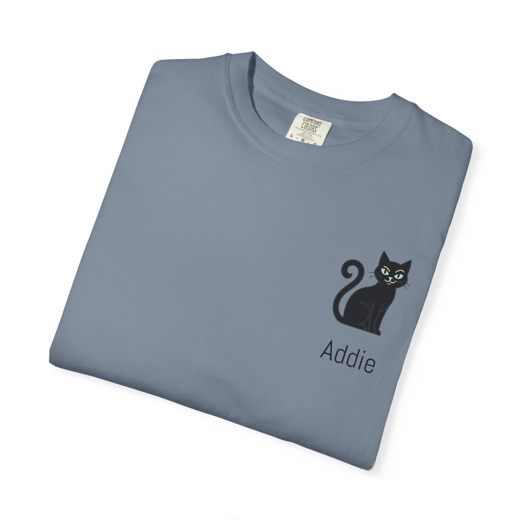 Cat Lover Personalized Graphic T-Shirt — “I’m Not Arguing, I’m Just Explaining Why I’m Right” Cat Design