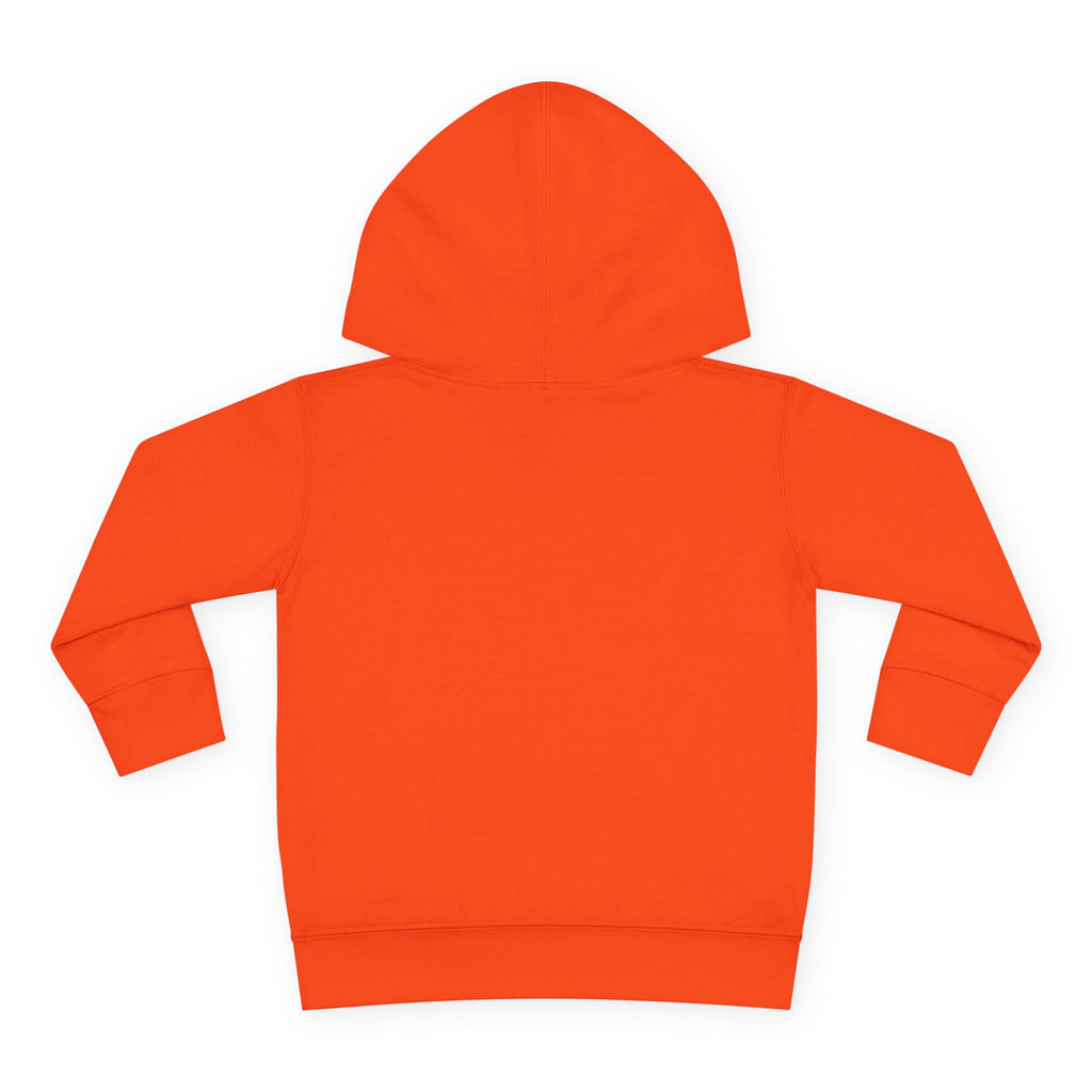 Toddler Hoodie — "Future World Changer" Lion Pullover