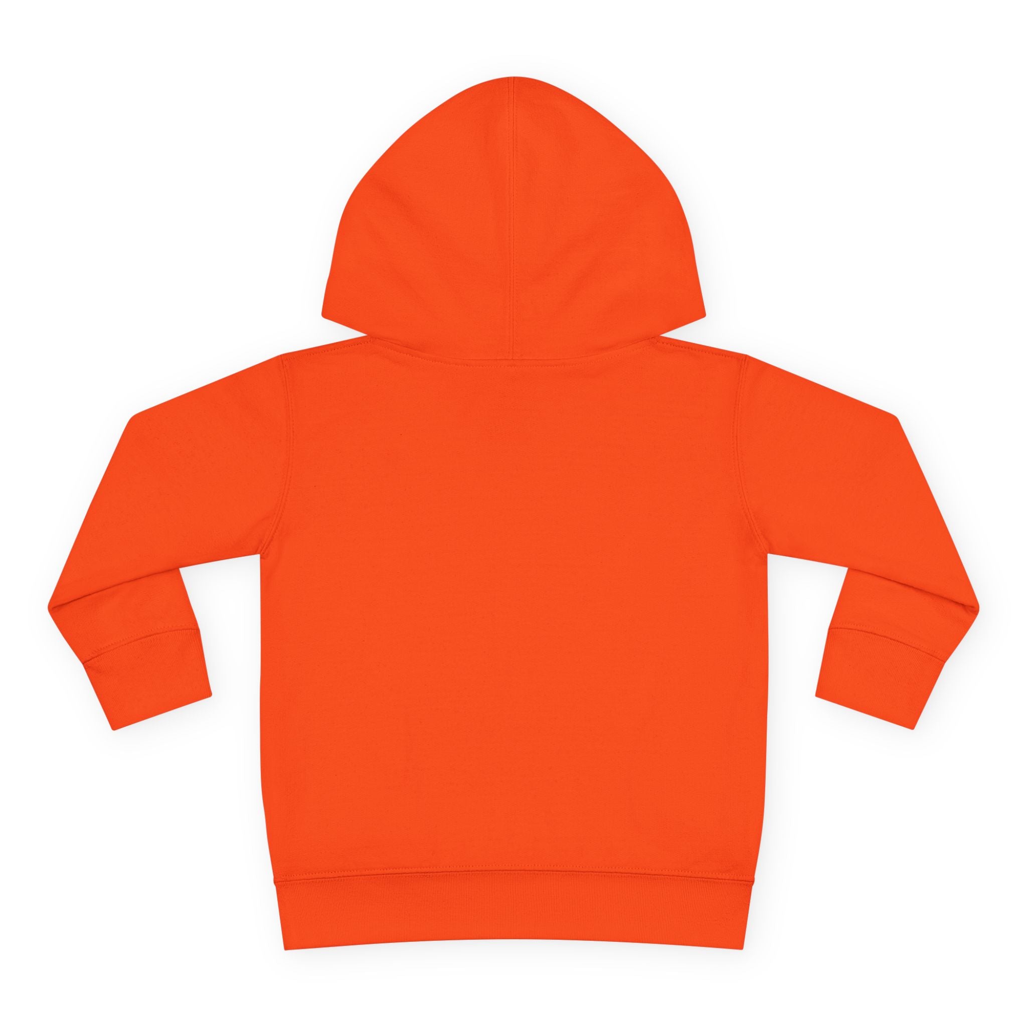 Toddler Hoodie — "Future World Changer" Lion Pullover
