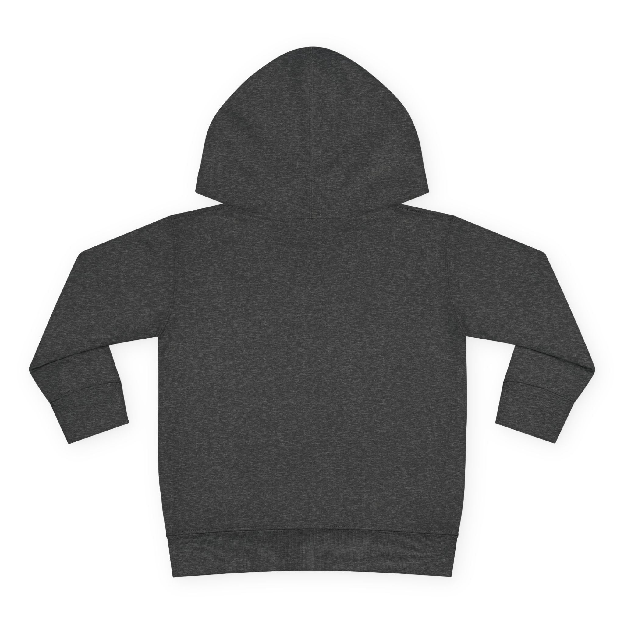 Toddler Hoodie — "Future World Changer" Lion Pullover