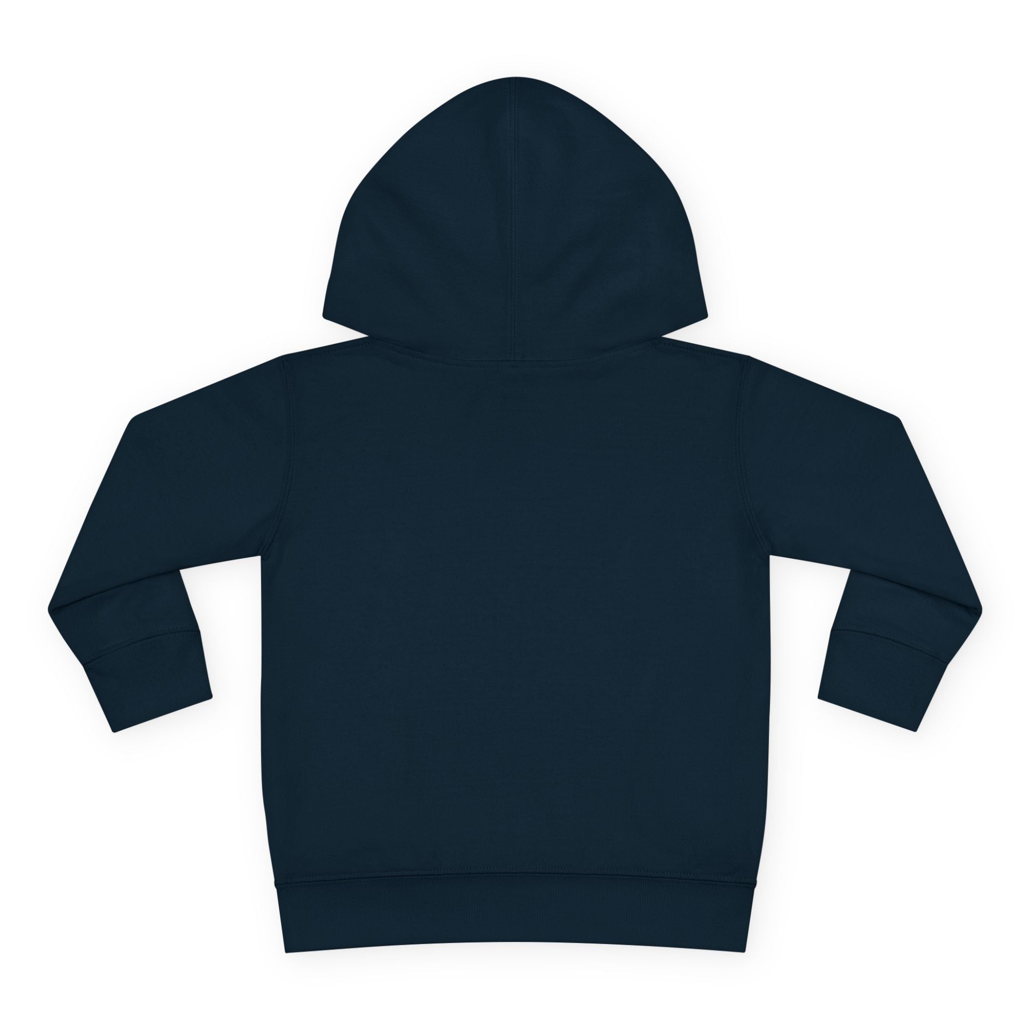 Toddler Hoodie — "Future World Changer" Lion Pullover