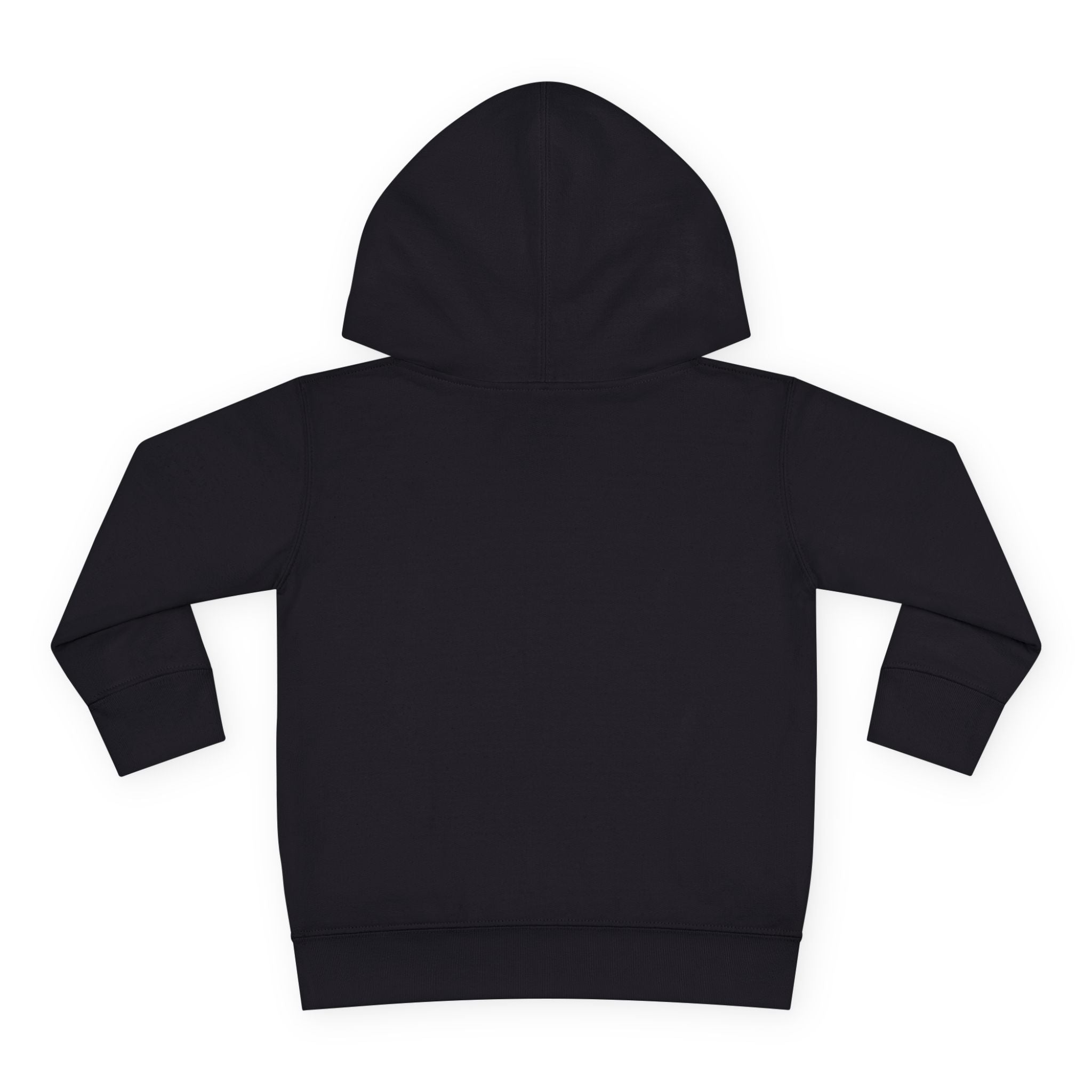 Toddler Hoodie — "Future World Changer" Lion Pullover