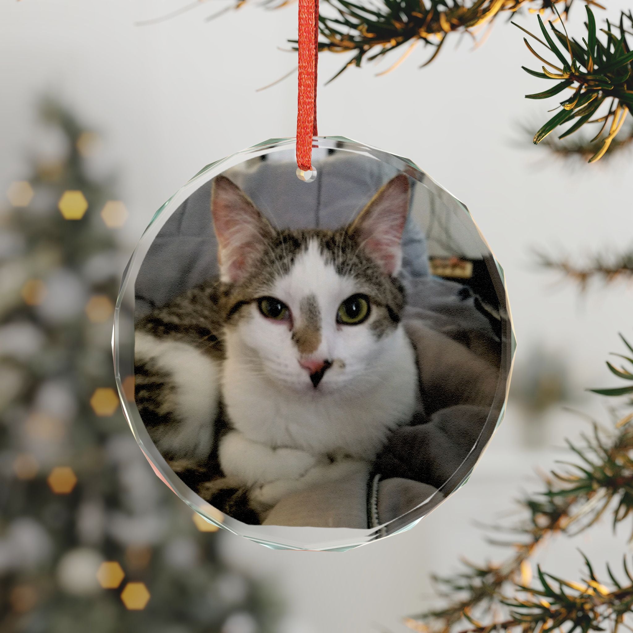 Personalized Glass Cat Ornament — Photo Pet Keepsake for Christmas & Gifts