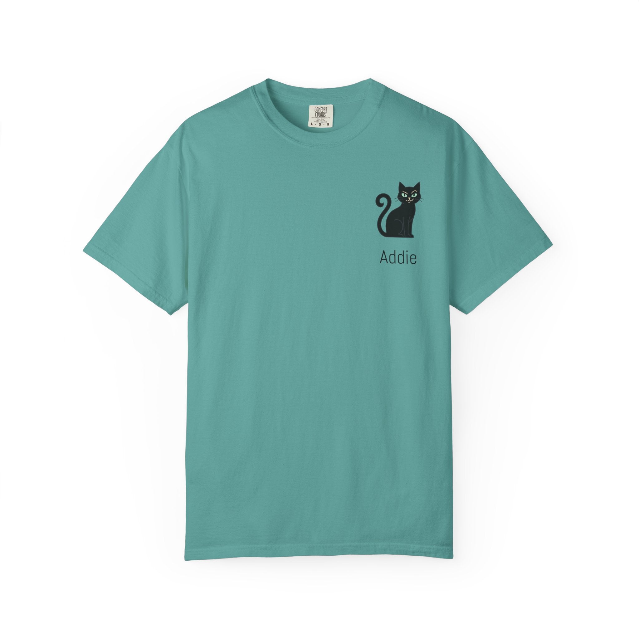 Cat Lover Personalized Graphic T-Shirt — “I’m Not Arguing, I’m Just Explaining Why I’m Right” Cat Design