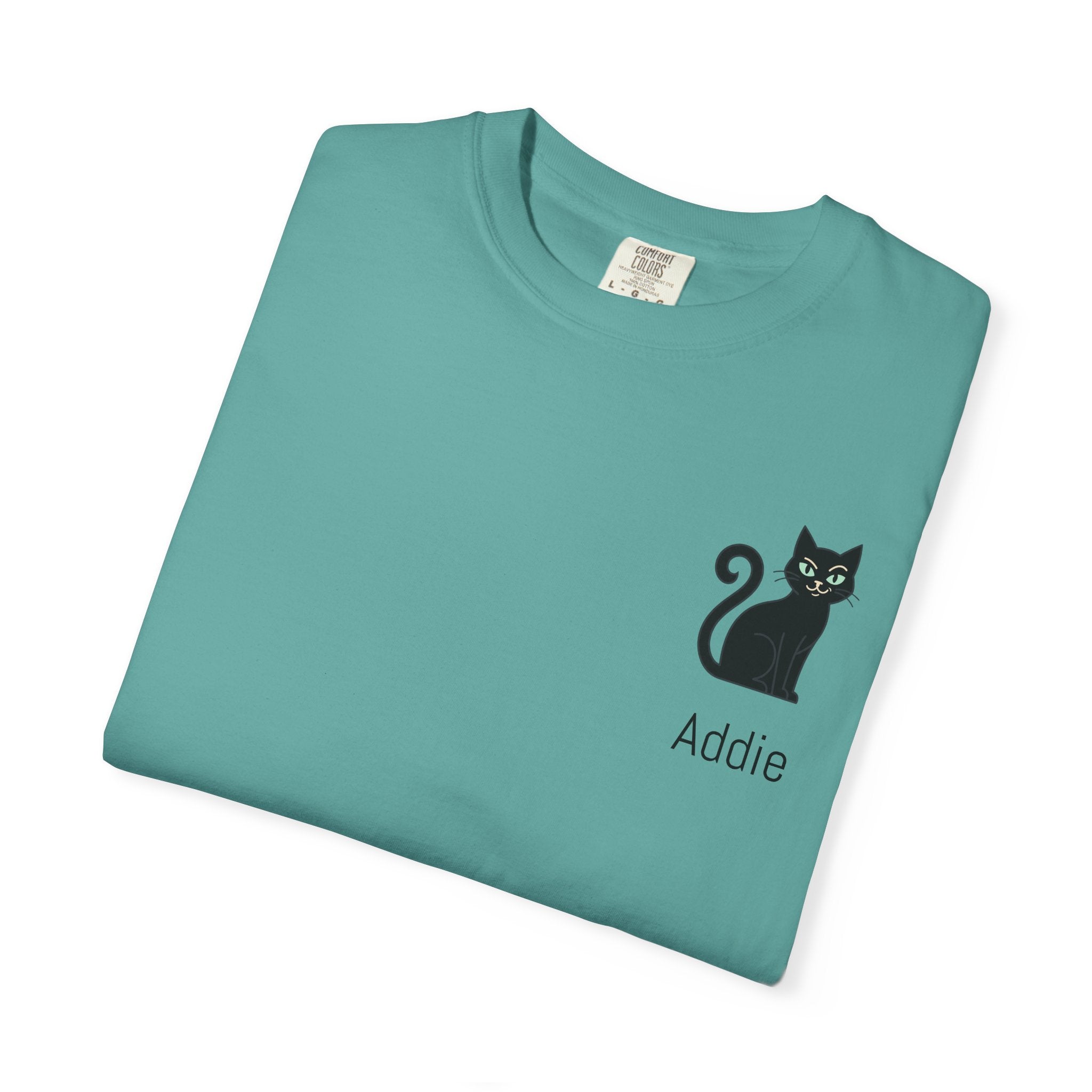 Cat Lover Personalized Graphic T-Shirt — “I’m Not Arguing, I’m Just Explaining Why I’m Right” Cat Design