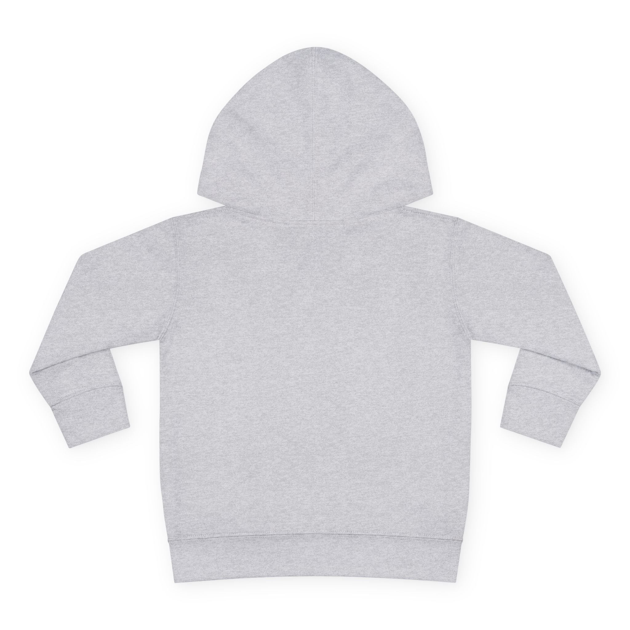 Toddler Hoodie — "Future World Changer" Lion Pullover