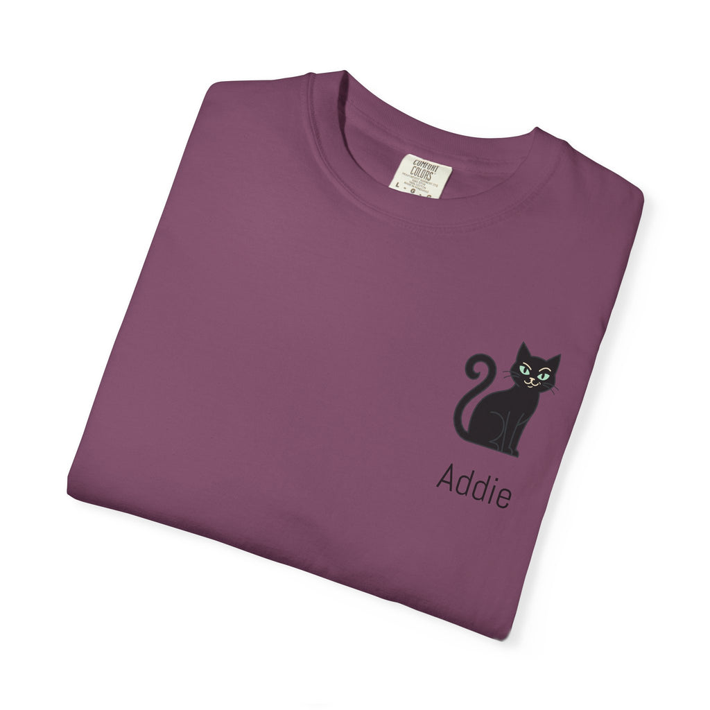 Cat Lover Personalized Graphic T-Shirt — “I’m Not Arguing, I’m Just Explaining Why I’m Right” Cat Design
