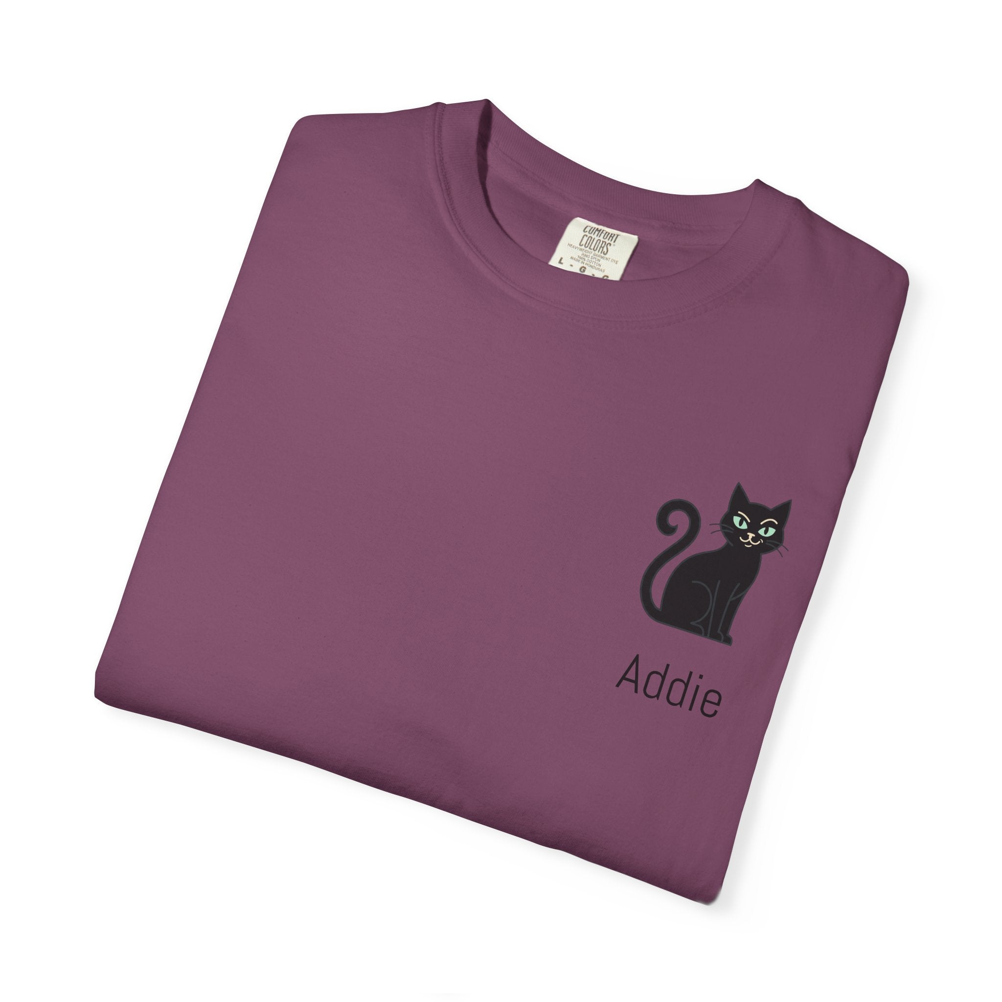Cat Lover Personalized Graphic T-Shirt — “I’m Not Arguing, I’m Just Explaining Why I’m Right” Cat Design