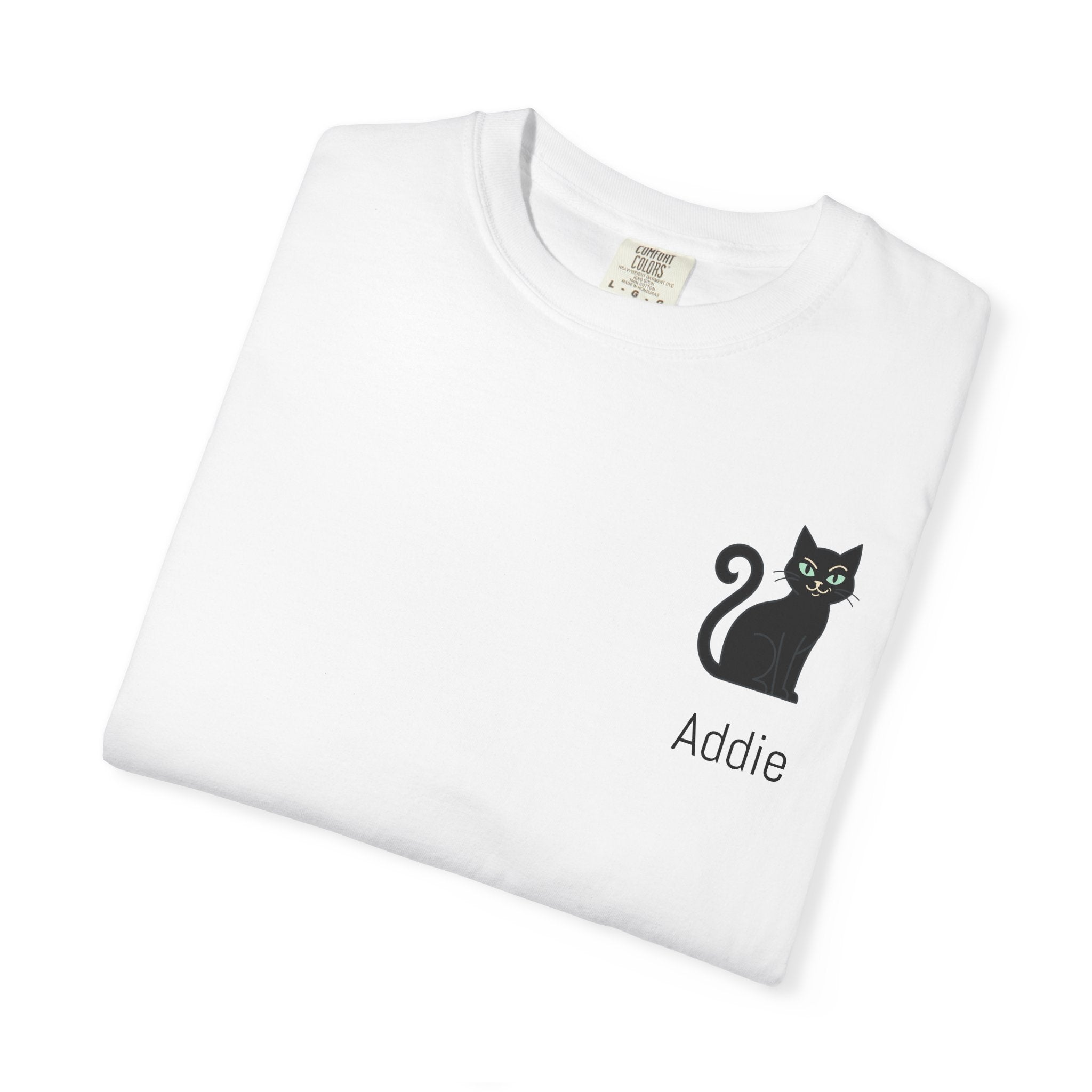 Cat Lover Personalized Graphic T-Shirt — “I’m Not Arguing, I’m Just Explaining Why I’m Right” Cat Design