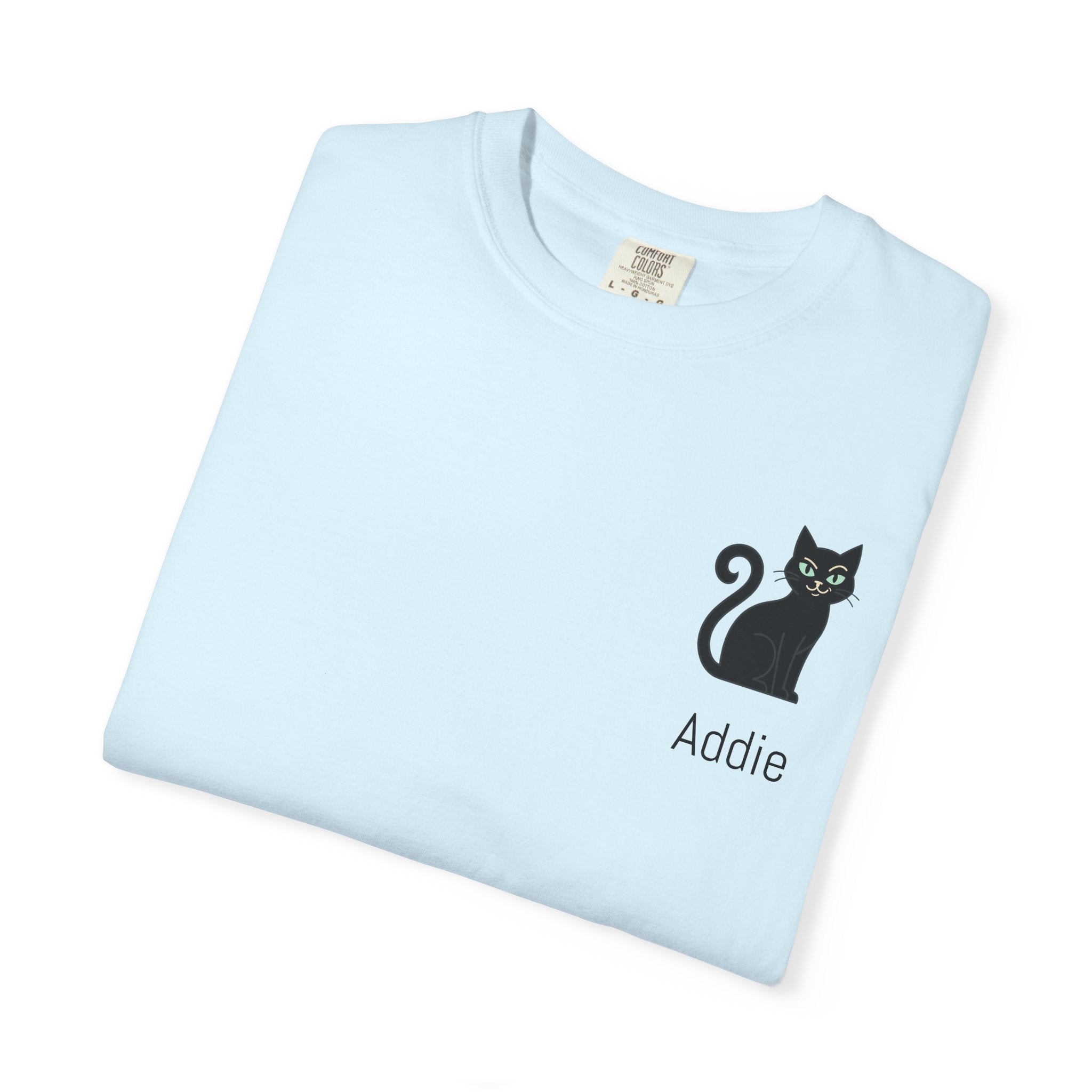 Cat Lover Personalized Graphic T-Shirt — “I’m Not Arguing, I’m Just Explaining Why I’m Right” Cat Design