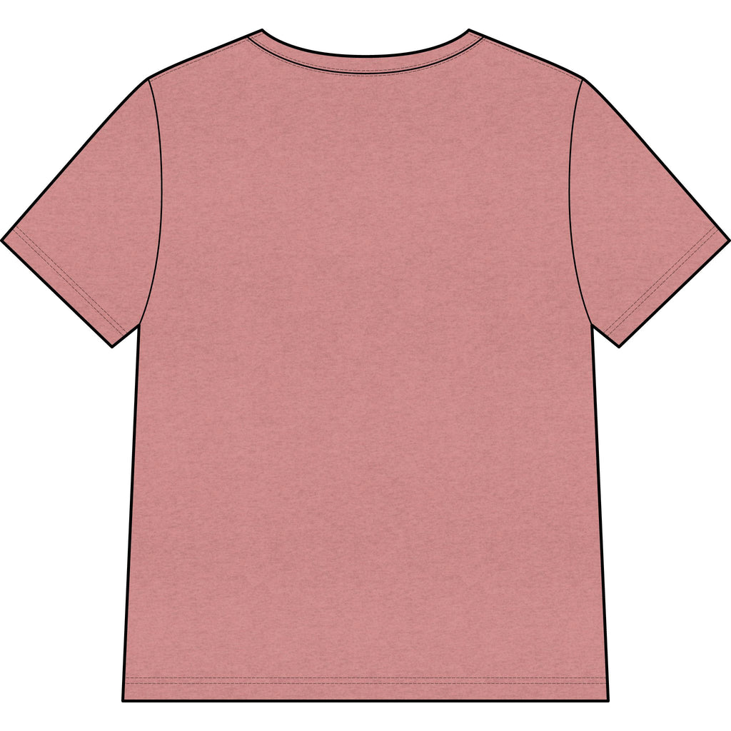Blessed Dolphin V-Neck Tee — Women’s Faith Graphic Shirt