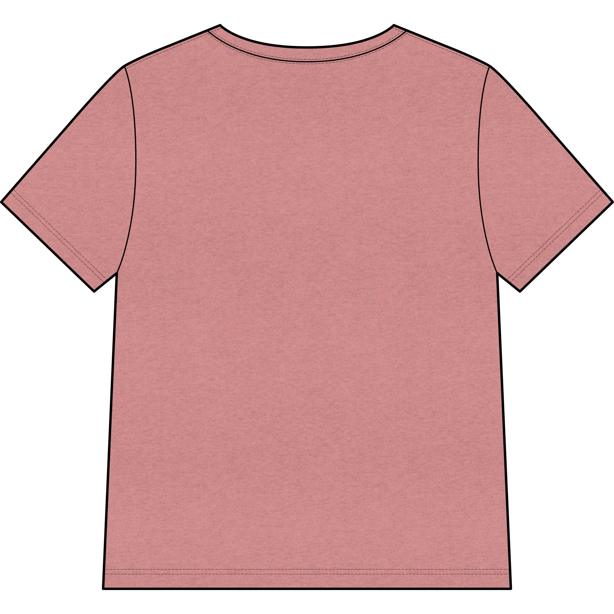 Blessed Dolphin V-Neck Tee — Women’s Faith Graphic Shirt