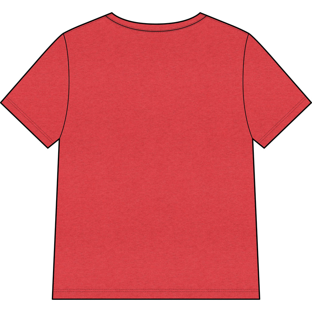 Blessed Dolphin V-Neck Tee — Women’s Faith Graphic Shirt
