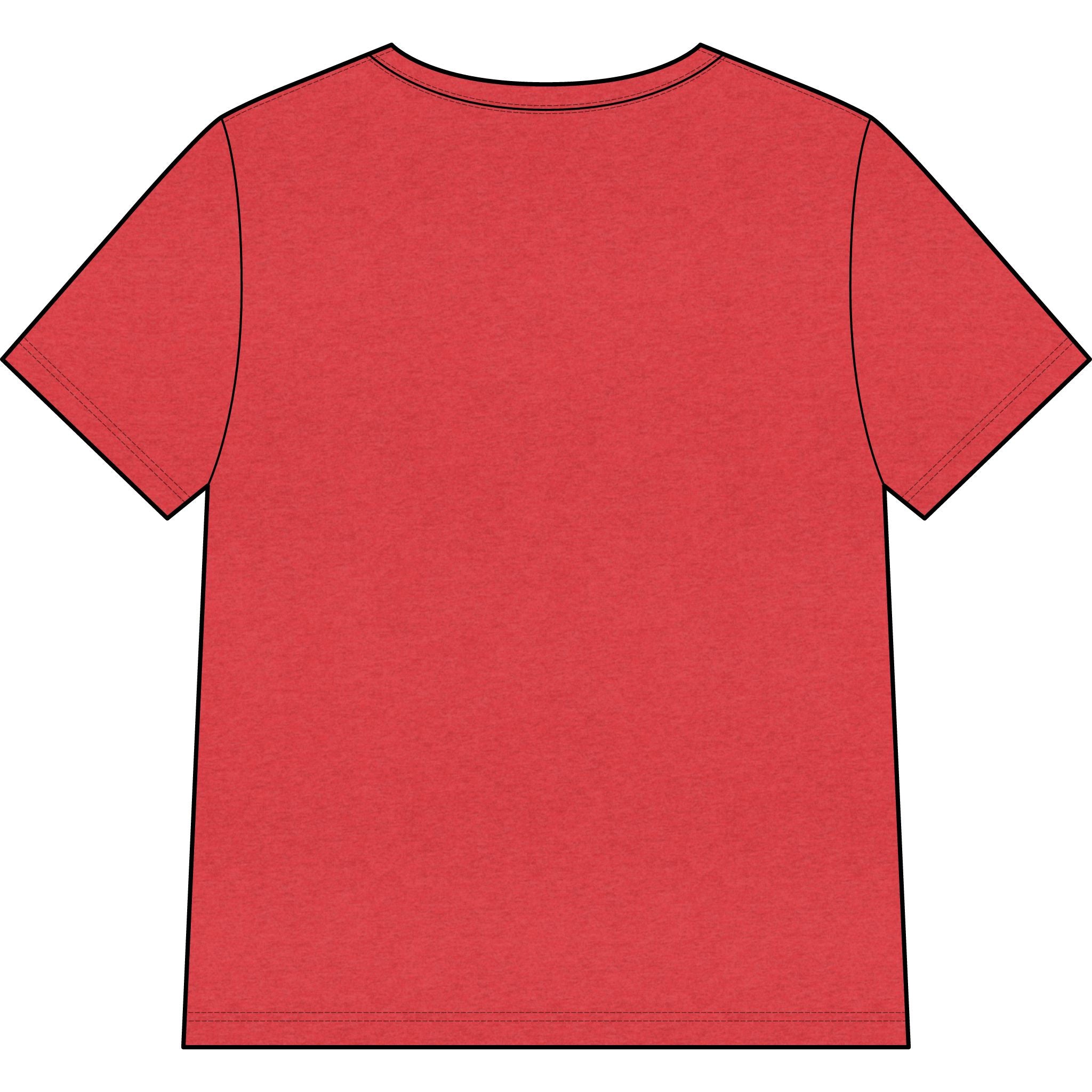 Blessed Dolphin V-Neck Tee — Women’s Faith Graphic Shirt