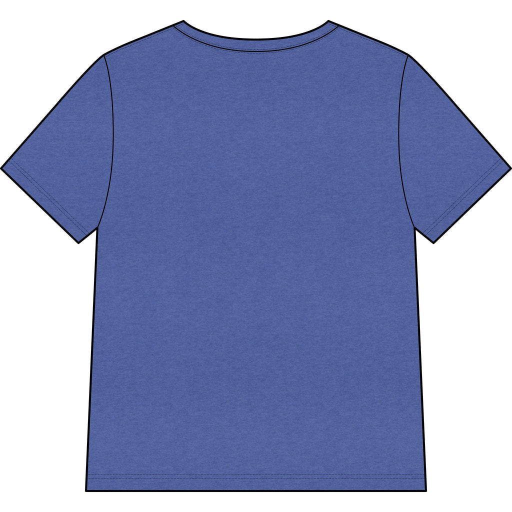 Blessed Dolphin V-Neck Tee — Women’s Faith Graphic Shirt