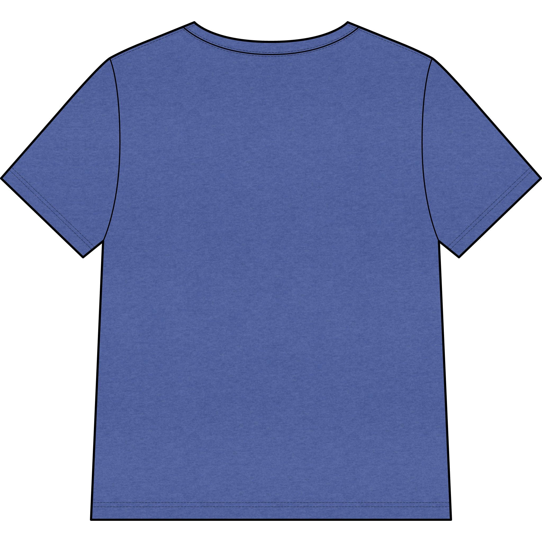 Blessed Dolphin V-Neck Tee — Women’s Faith Graphic Shirt