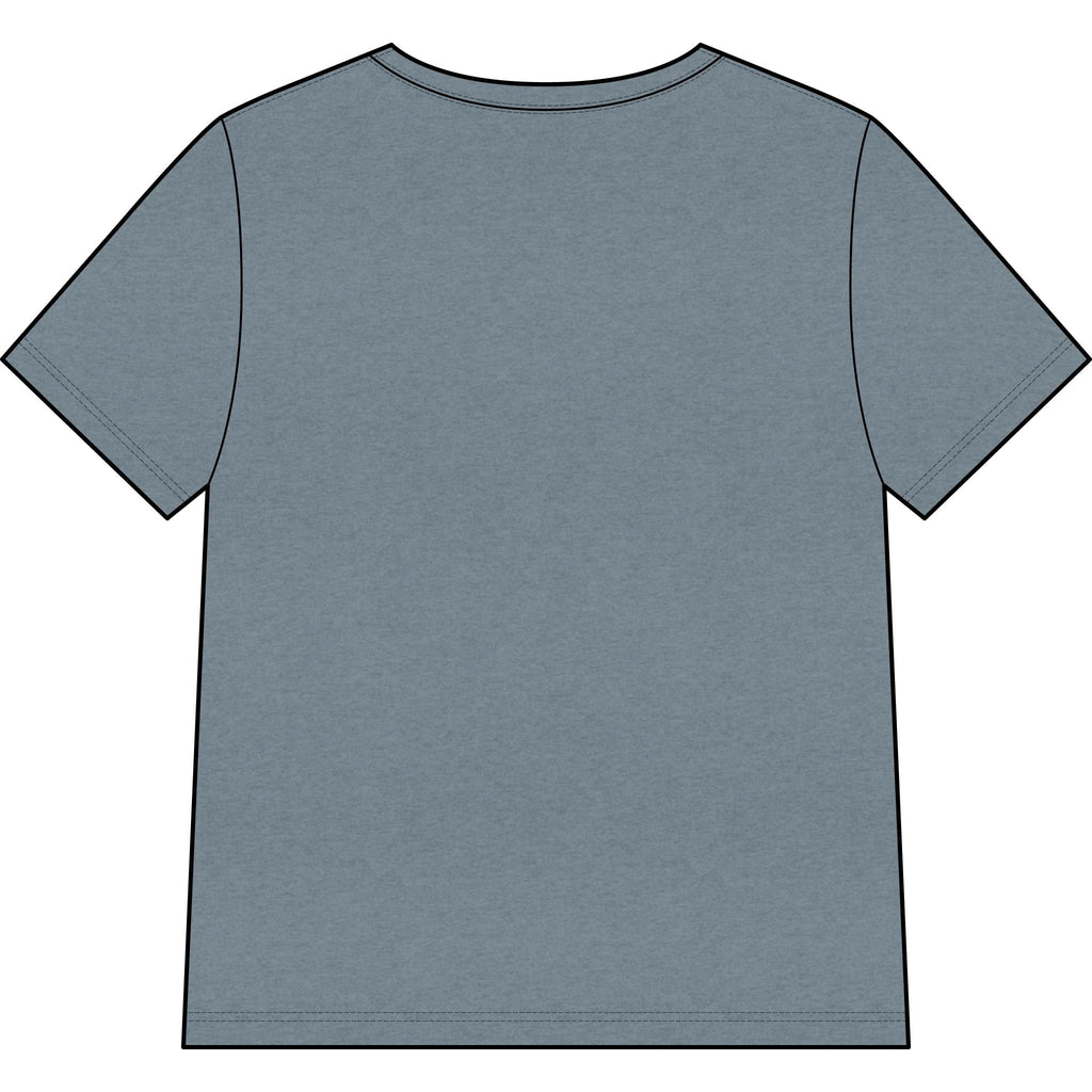 Blessed Dolphin V-Neck Tee — Women’s Faith Graphic Shirt