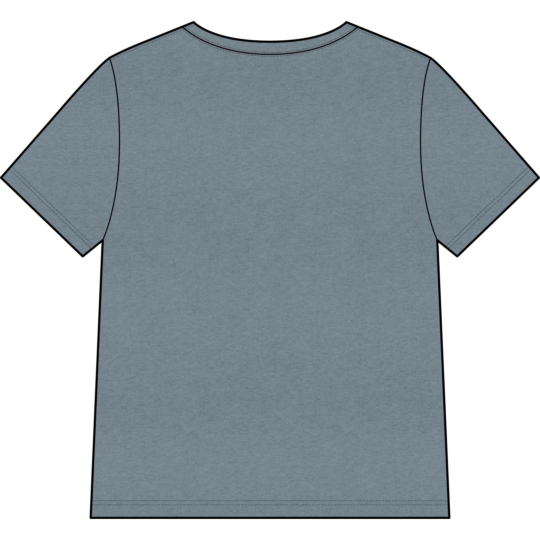 Blessed Dolphin V-Neck Tee — Women’s Faith Graphic Shirt
