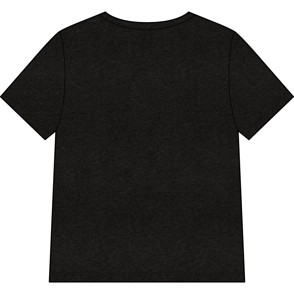 Blessed Dolphin V-Neck Tee — Women’s Faith Graphic Shirt