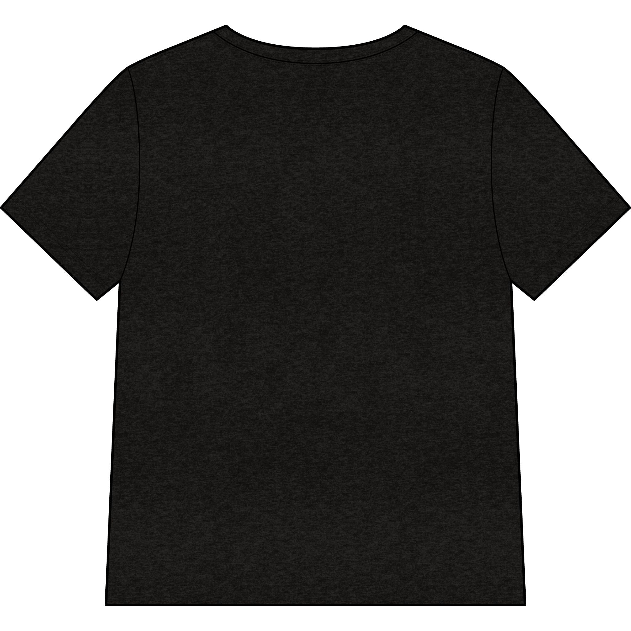 Blessed Dolphin V-Neck Tee — Women’s Faith Graphic Shirt