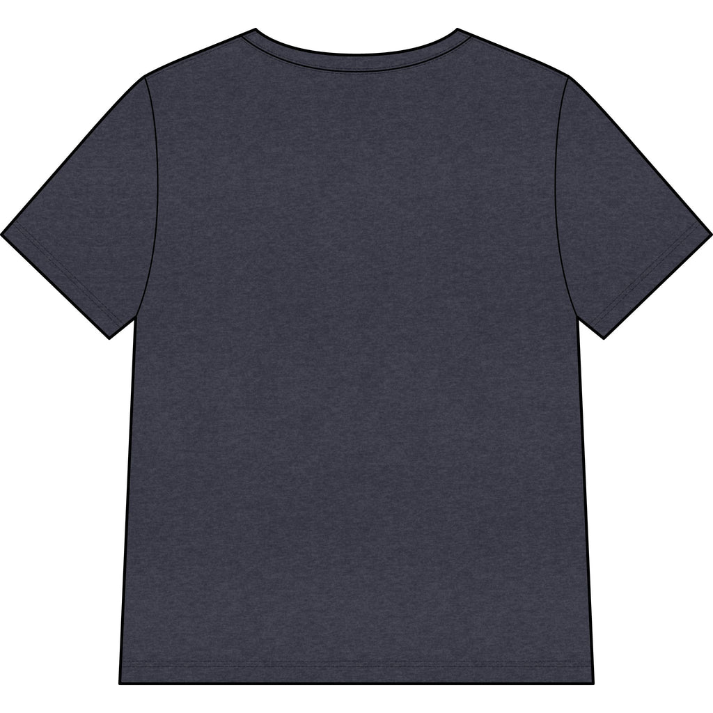 Blessed Dolphin V-Neck Tee — Women’s Faith Graphic Shirt