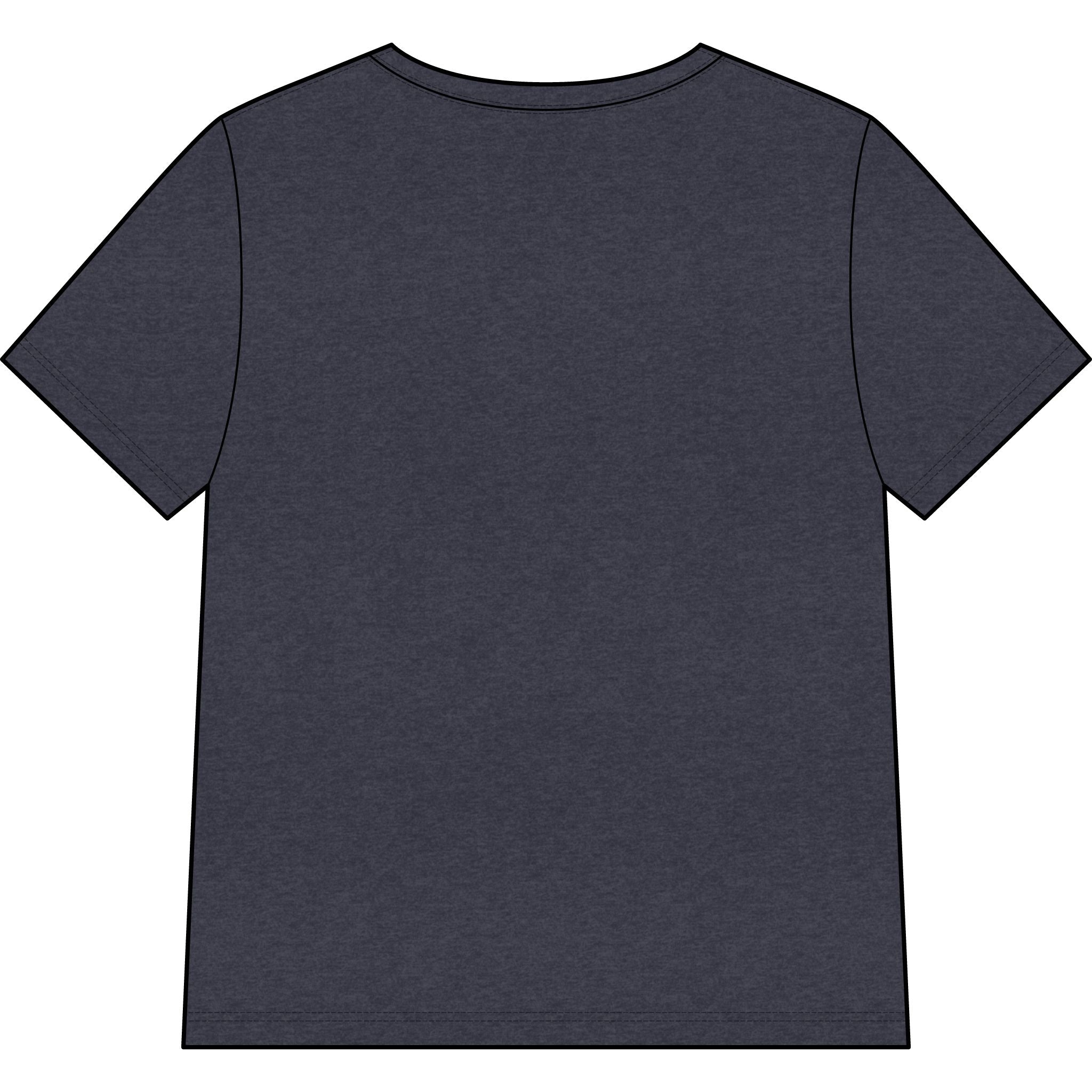 Blessed Dolphin V-Neck Tee — Women’s Faith Graphic Shirt