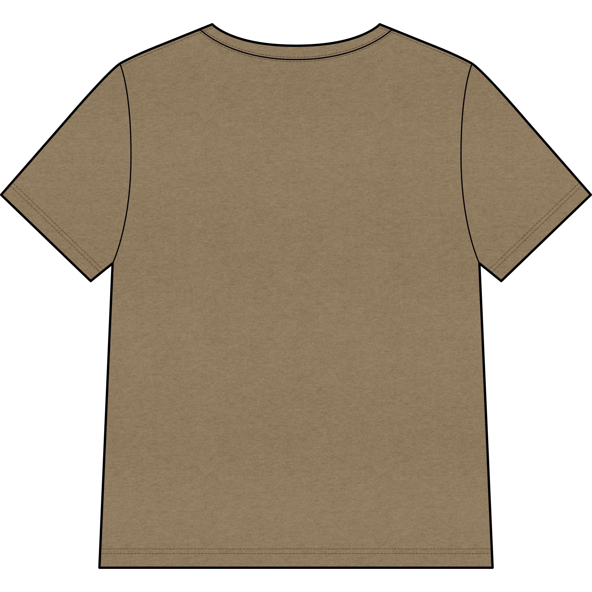 Blessed Dolphin V-Neck Tee — Women’s Faith Graphic Shirt