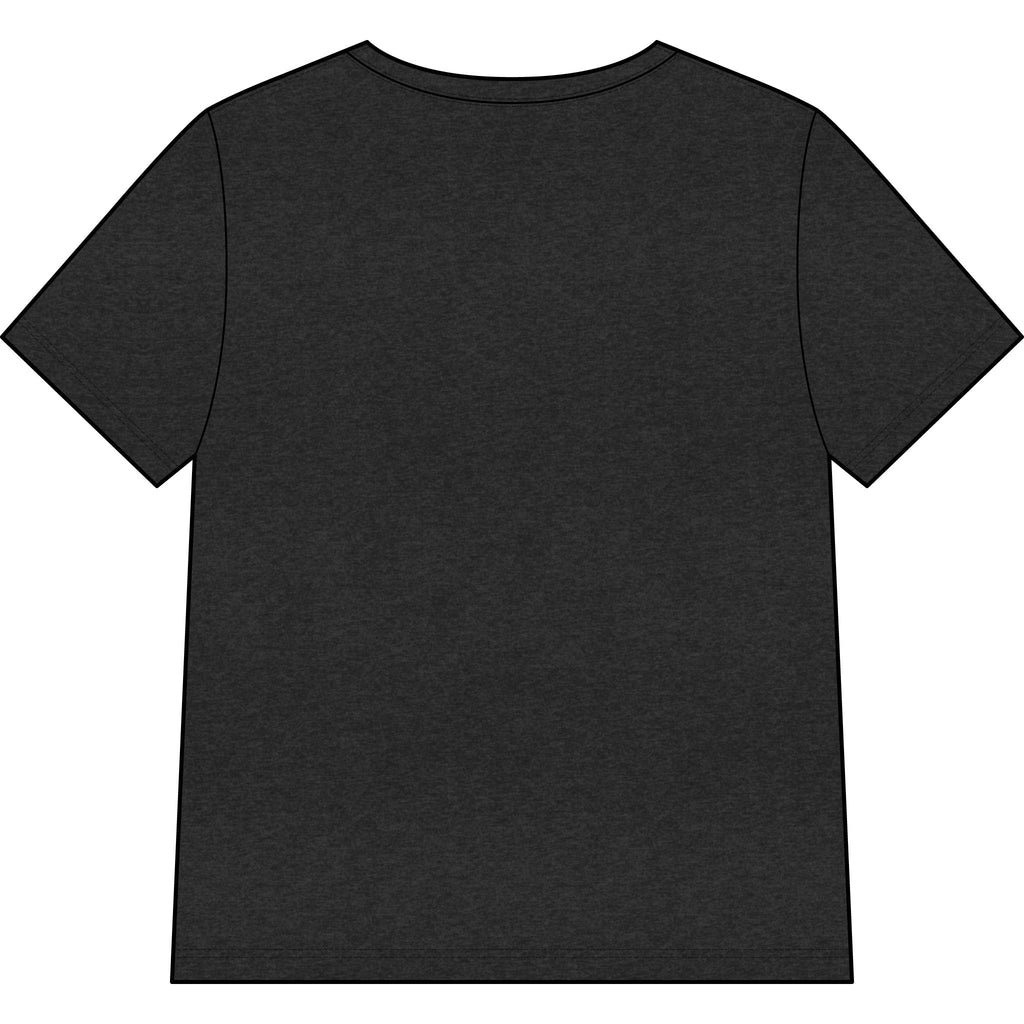 Blessed Dolphin V-Neck Tee — Women’s Faith Graphic Shirt
