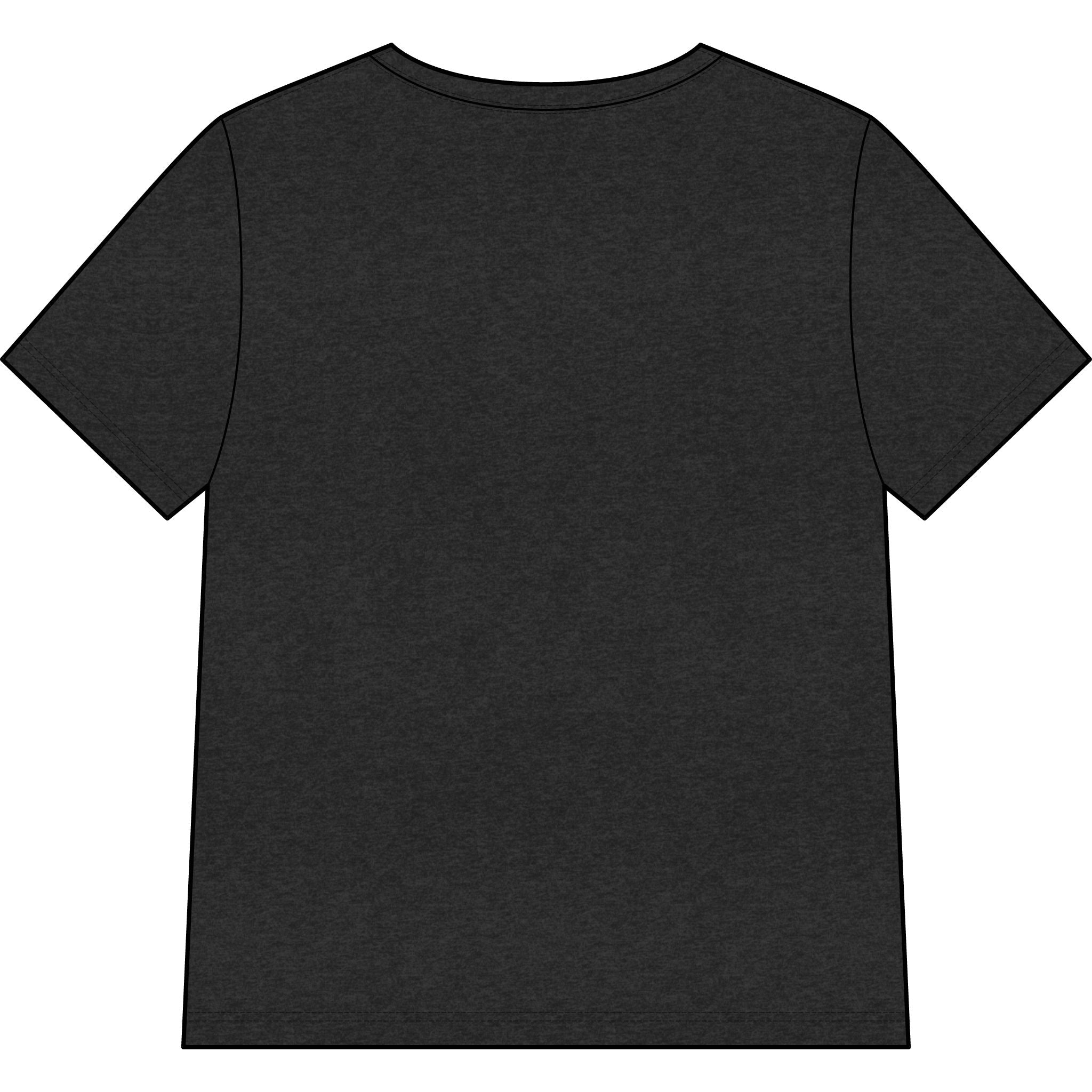 Blessed Dolphin V-Neck Tee — Women’s Faith Graphic Shirt