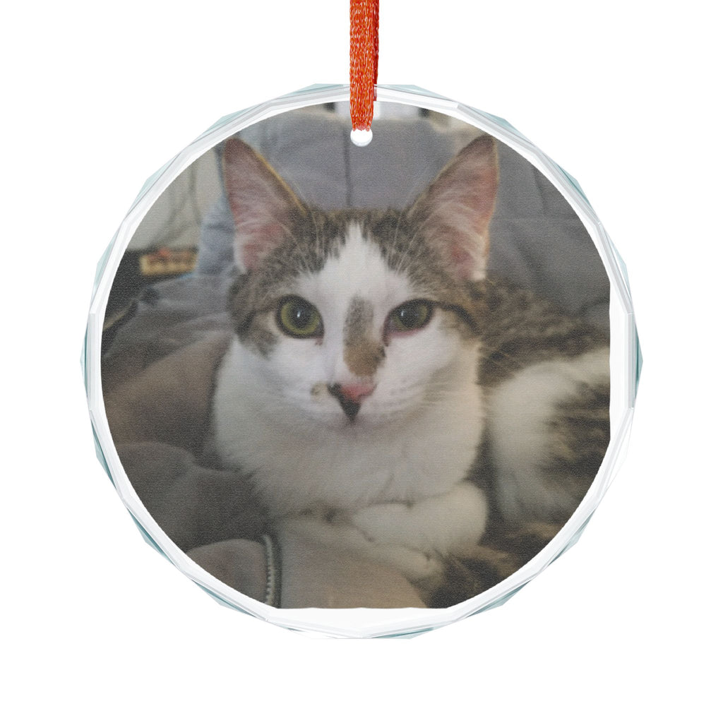Personalized Glass Cat Ornament — Photo Pet Keepsake for Christmas & Gifts