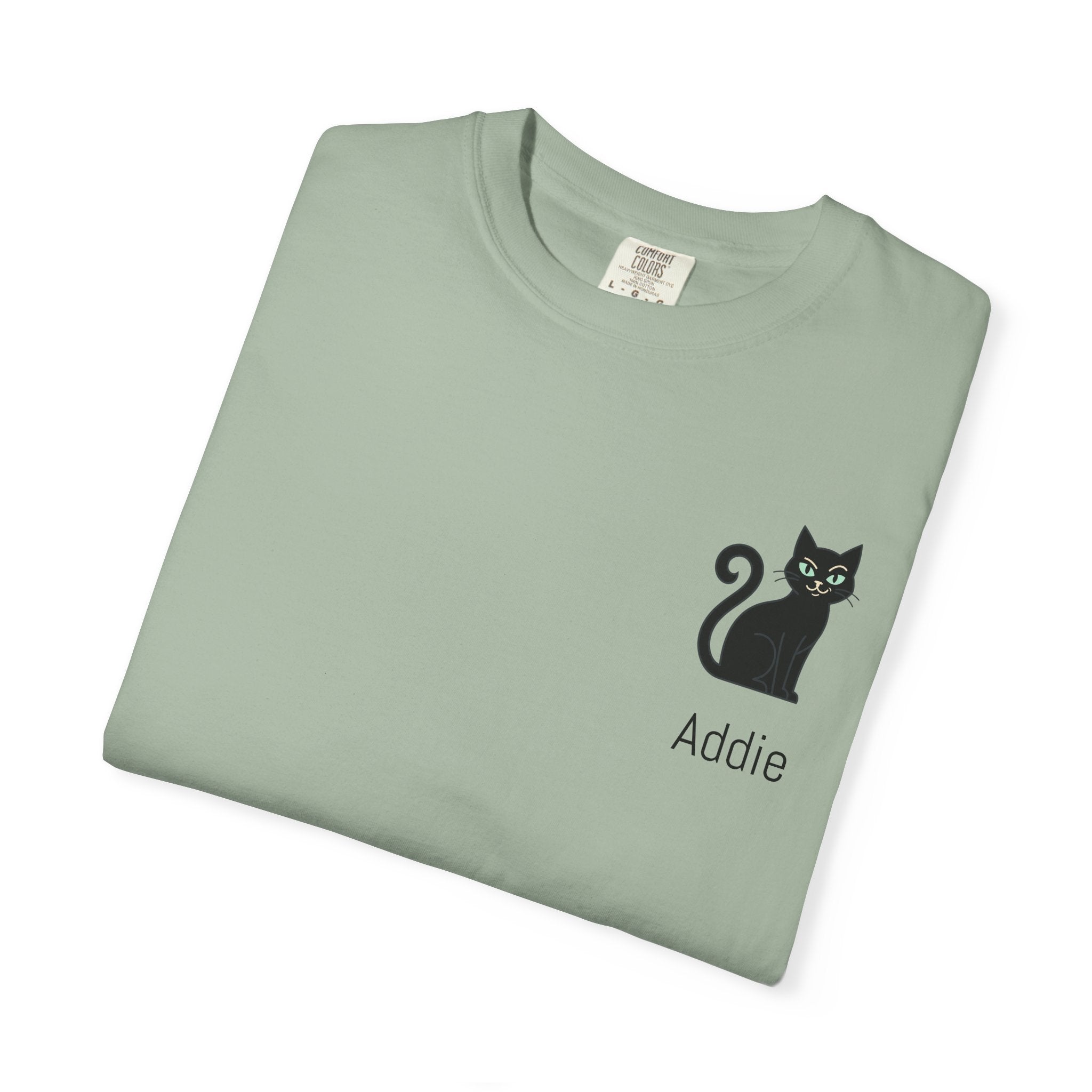 Cat Lover Personalized Graphic T-Shirt — “I’m Not Arguing, I’m Just Explaining Why I’m Right” Cat Design