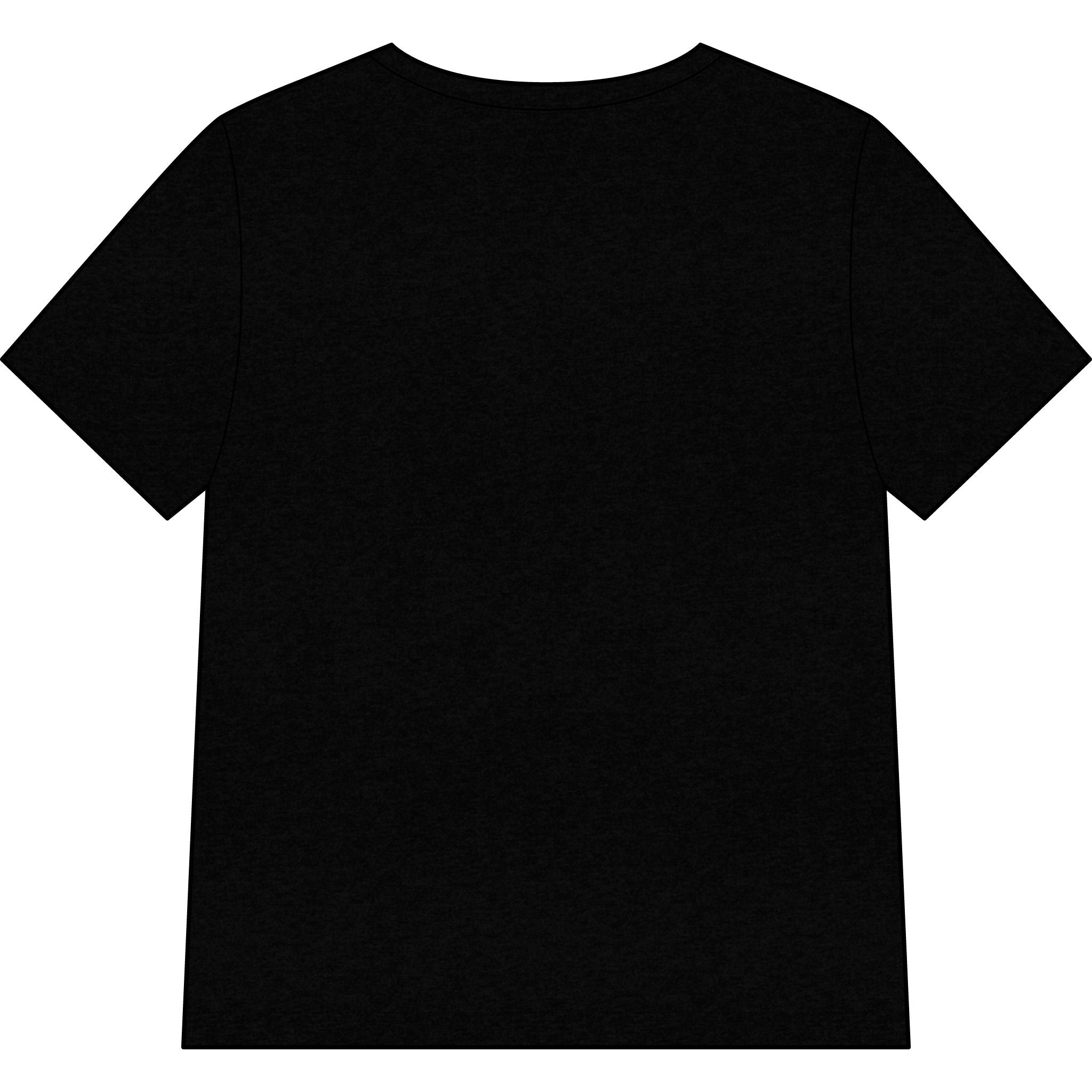 Blessed Dolphin V-Neck Tee — Women’s Faith Graphic Shirt