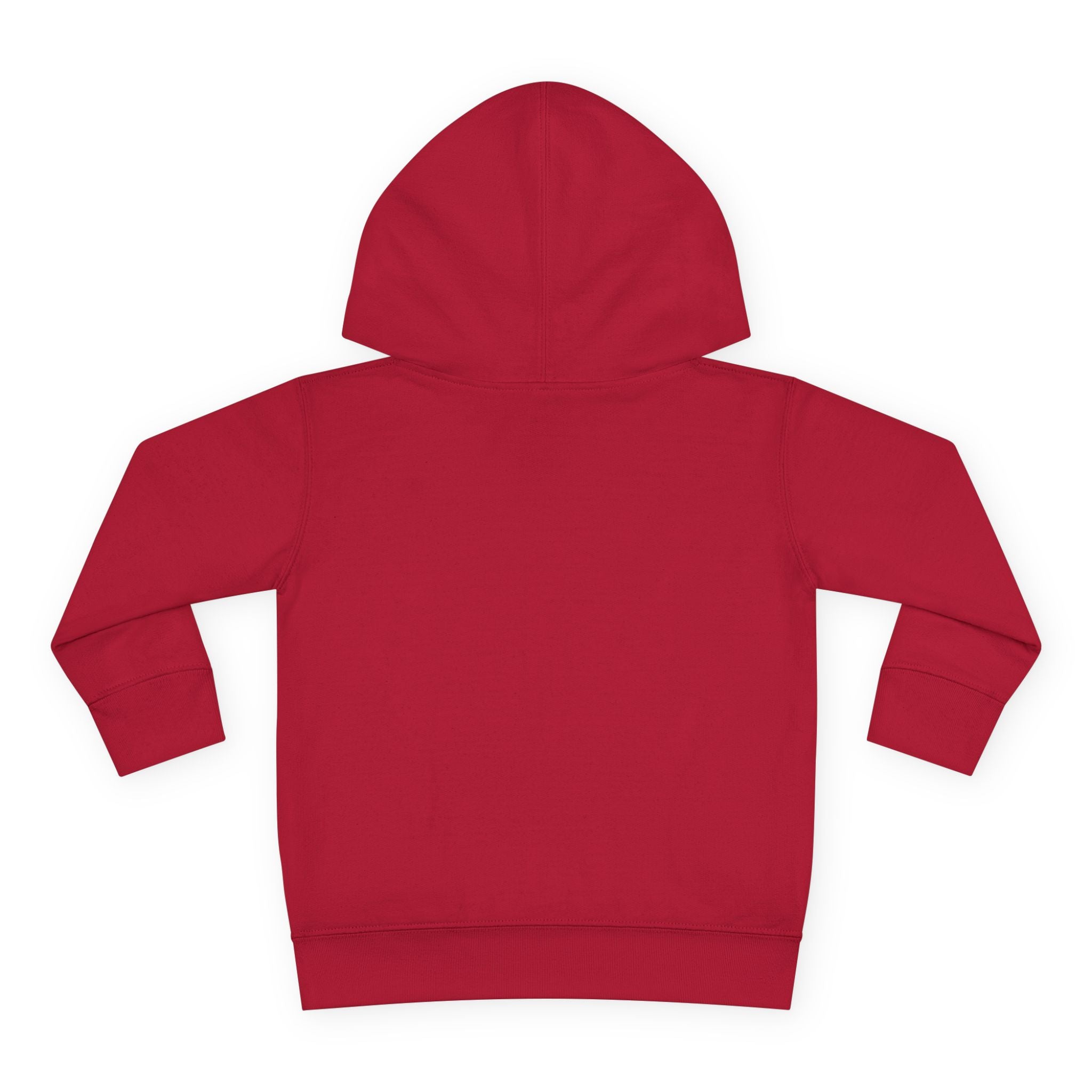 Toddler Hoodie — "Future World Changer" Lion Pullover