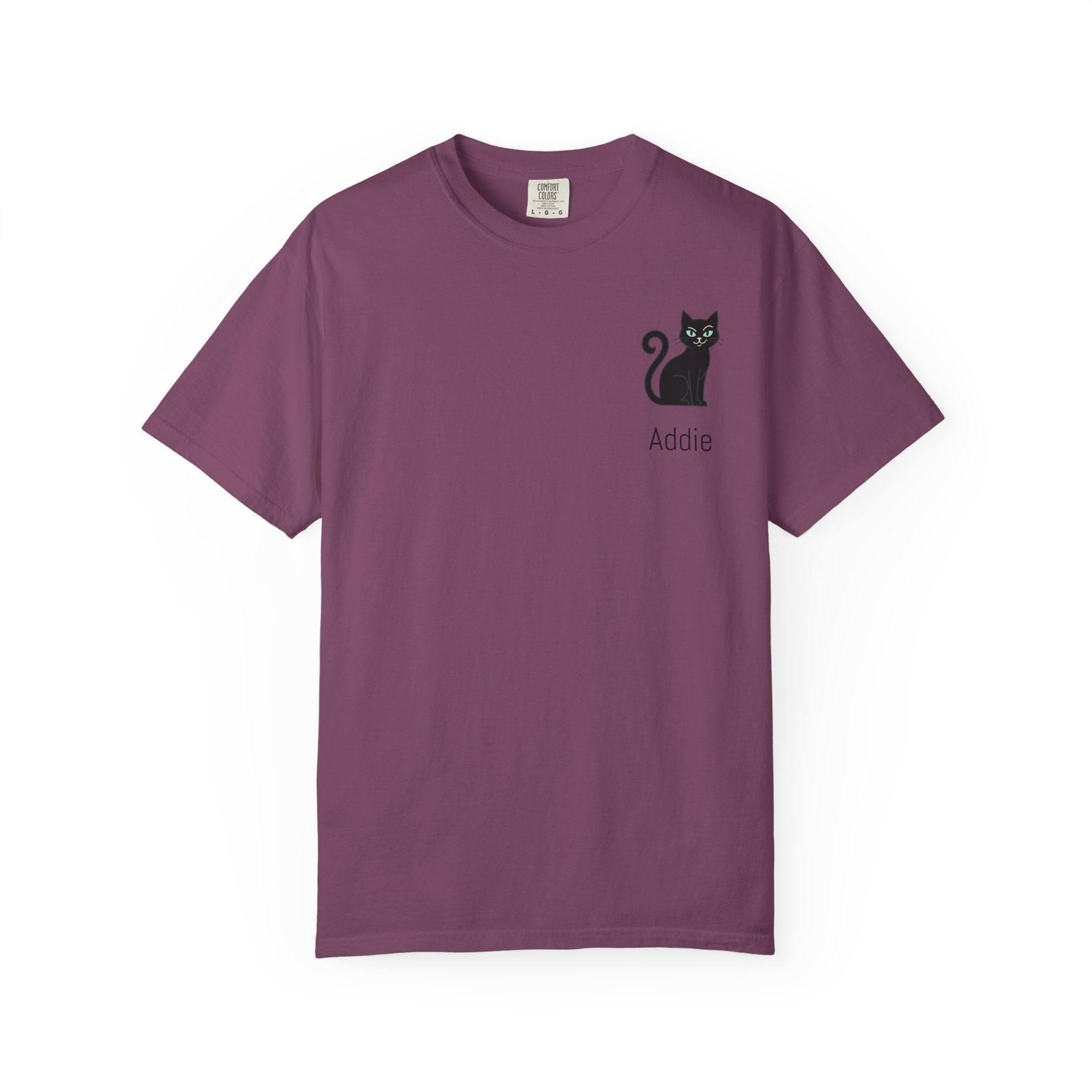 Cat Lover Personalized Graphic T-Shirt — “I’m Not Arguing, I’m Just Explaining Why I’m Right” Cat Design